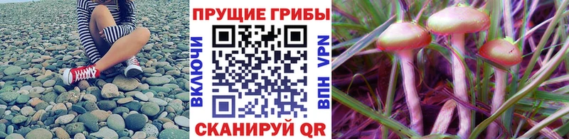 Псилоцибиновые грибы мухоморы  Купить закладки  Батайск 
